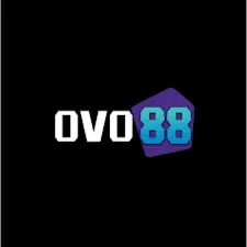 OVO88 - Aplikasi Musik Terbaik untuk Pecinta Musik